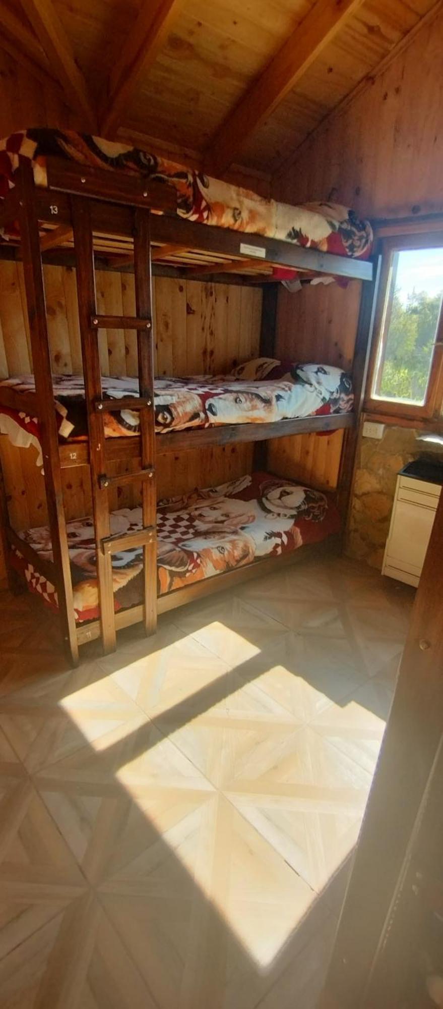 Hostel Andino Villa Pehuenia Εξωτερικό φωτογραφία