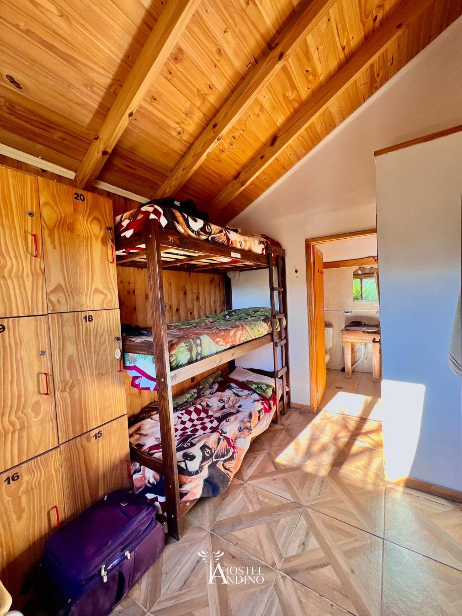 Hostel Andino Villa Pehuenia Εξωτερικό φωτογραφία