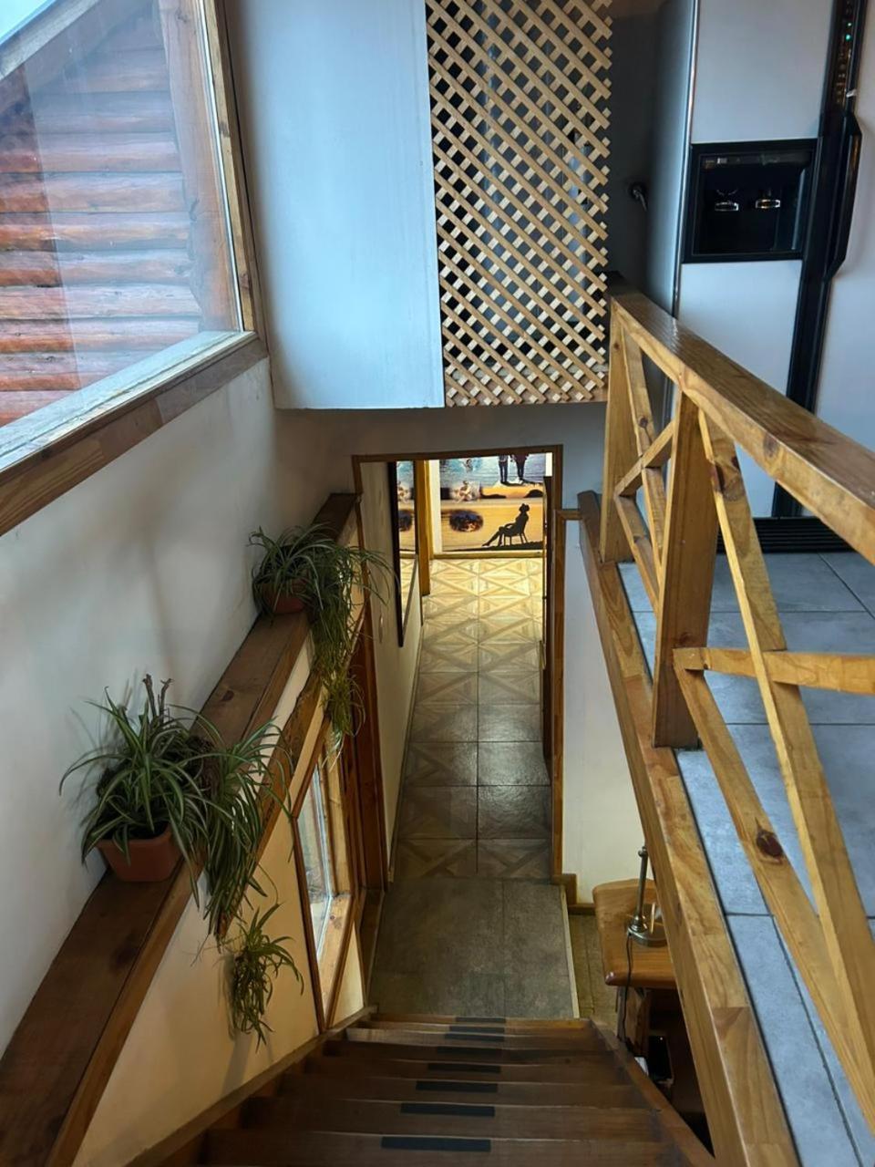Hostel Andino Villa Pehuenia Εξωτερικό φωτογραφία