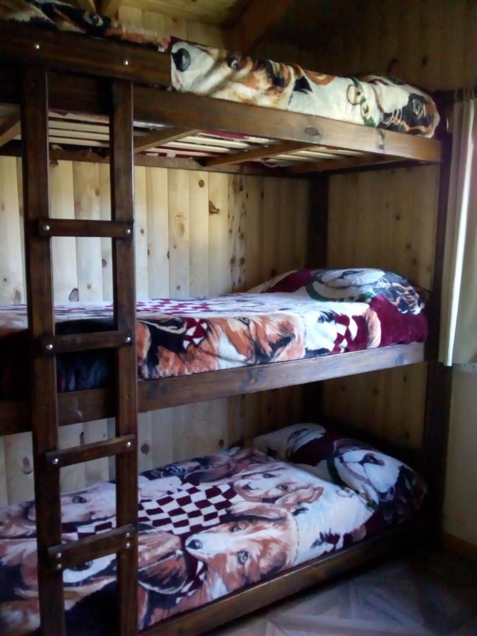 Hostel Andino Villa Pehuenia Εξωτερικό φωτογραφία